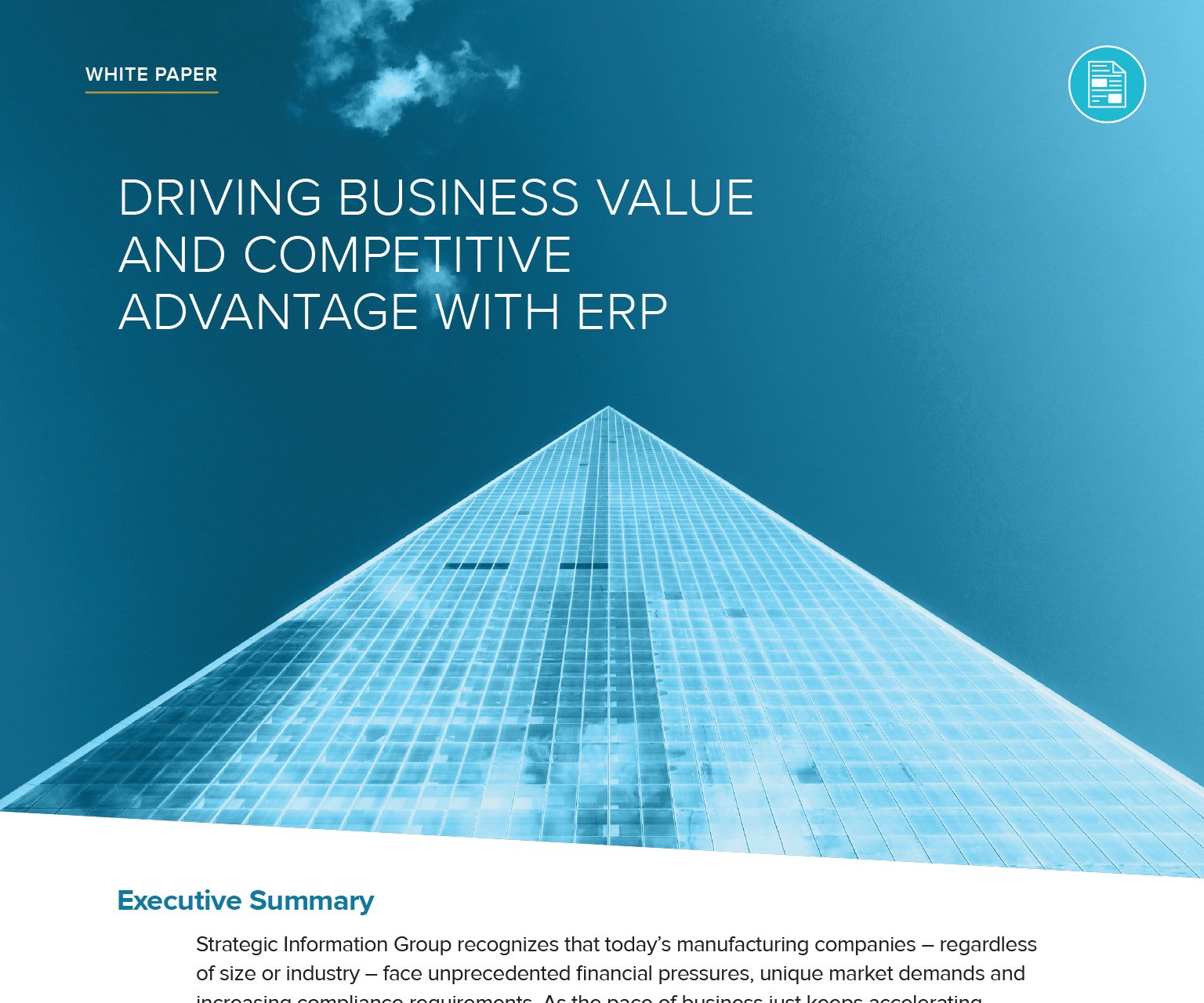 erp consulting